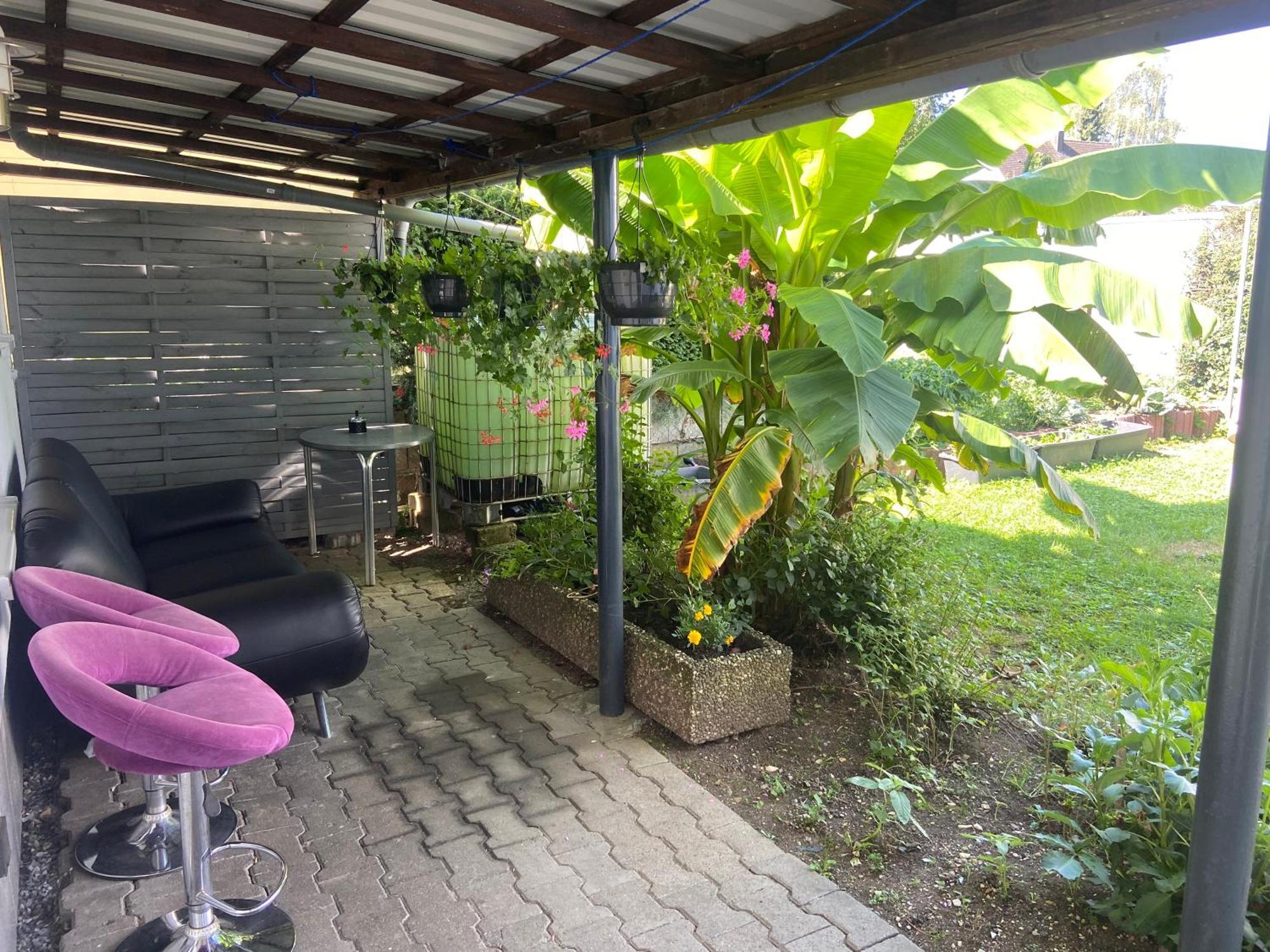 Apisha Apartement Kirchheim unter Teck Exteriér fotografie